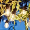 Outdoor-Lichterkette Mit 10 Glühbirnen Und Stecker BULB LIGHTS In Schwarz