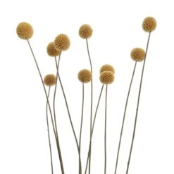 Trockenblumen Blumenstrauß FLOWER MARKET In Grün -Butlers butlers trockenblumen blumenstrauss flower market in grun 3